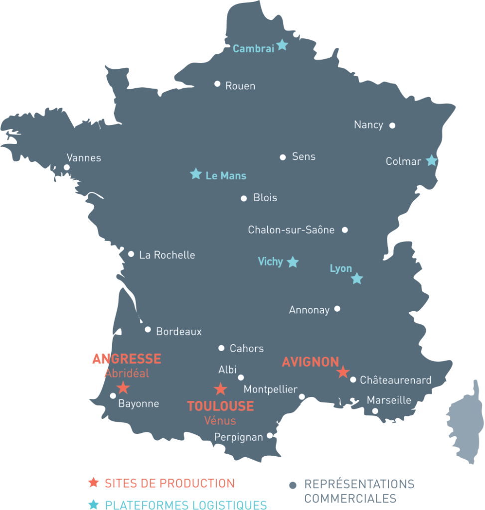 carte réseau Abridéal